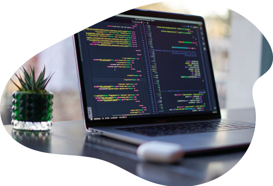 McSbuSing — Software Development